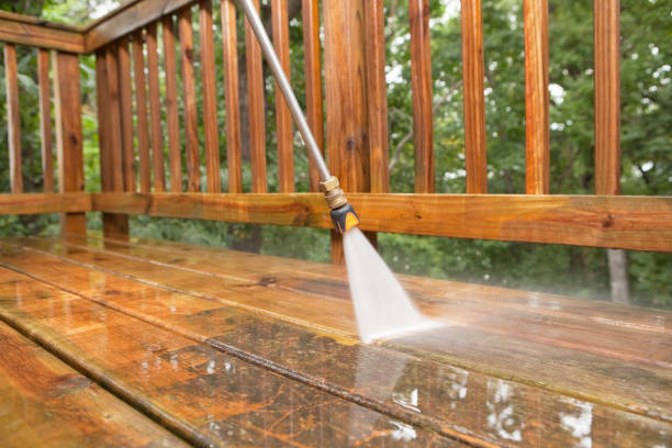 Best Building Exterior Washing  in Shelton, WA